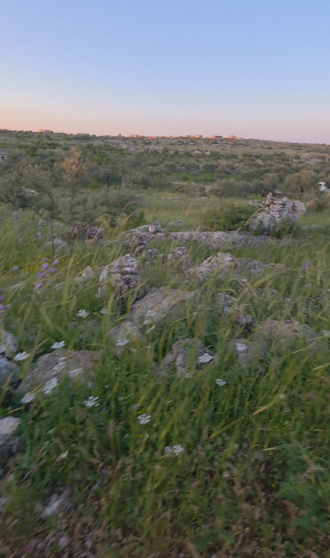 جبل احسم
