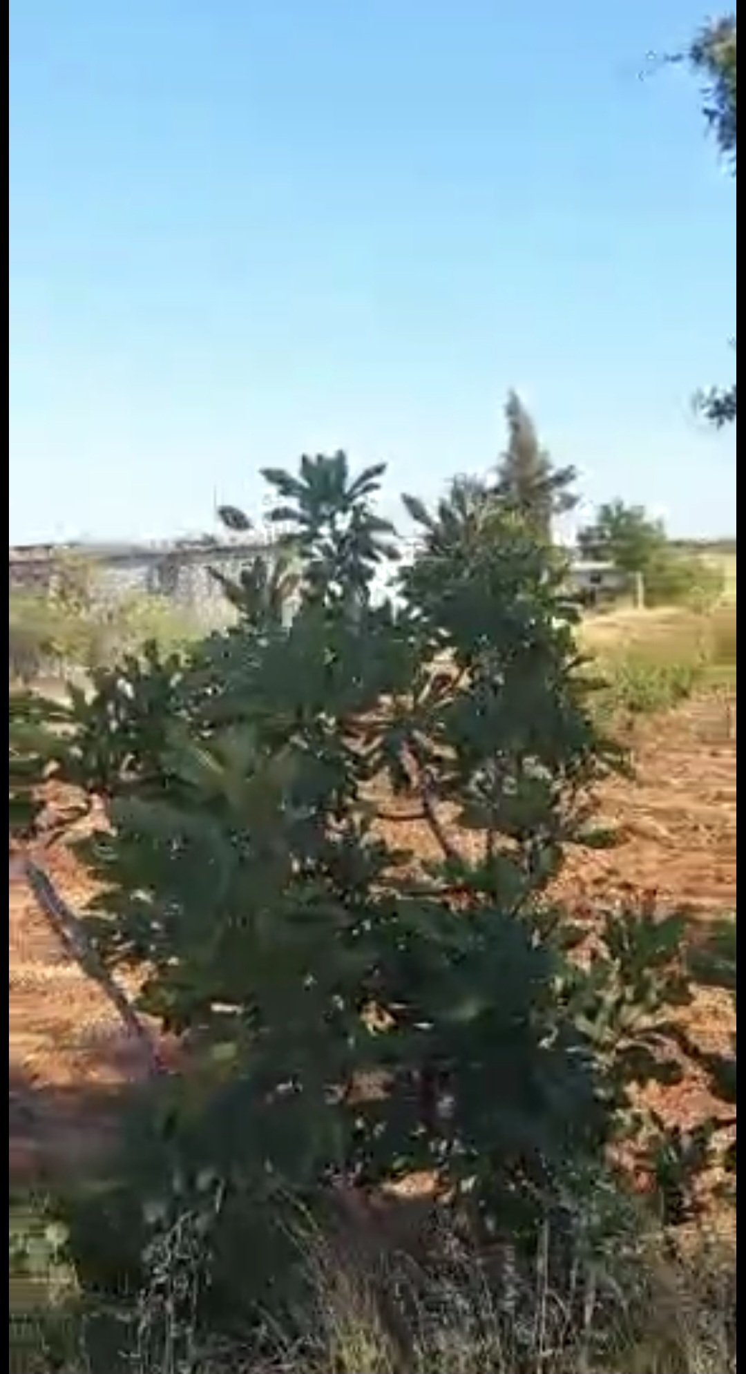 الطريق الرئيسي لجبل احسم