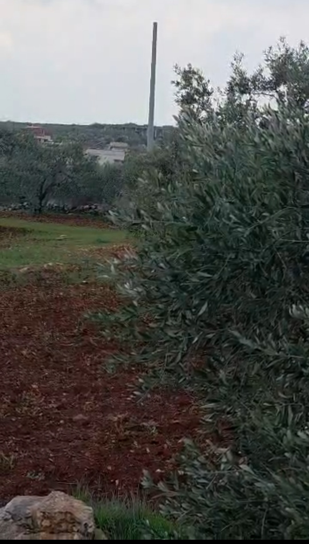 منطقة بقرزة شمالا